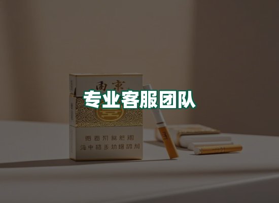 核心优势